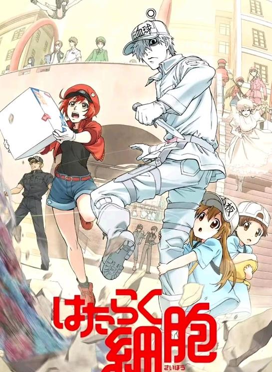 日本动漫《工作细胞》1-2部合集+剧场版+BLACK+特典 简中字幕-中文资源库